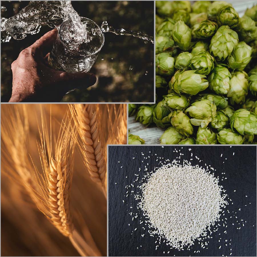 Bier ingrediënten