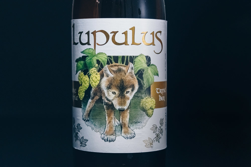 Lupulus Blonde