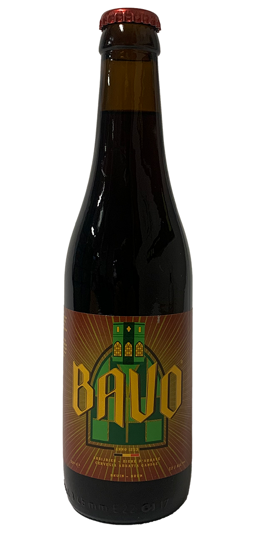 Bavo Bruin
