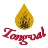 Tongval logo