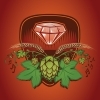 Briljant Brouwhuis logo