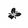 Logo van Trillium Brewing Company